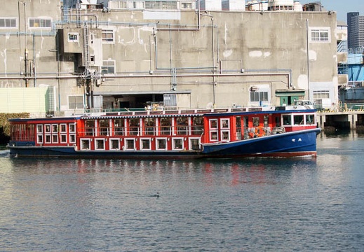 201101061338-DSC06833.jpg