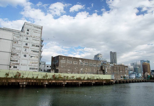 201101061349-DSC06868.jpg