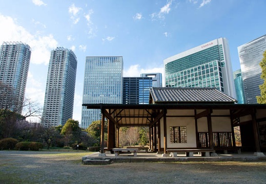 201101061430-DSC06882.jpg