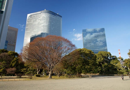 201101061444-DSC06910.jpg