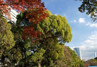 201101061446-DSC06915.jpg