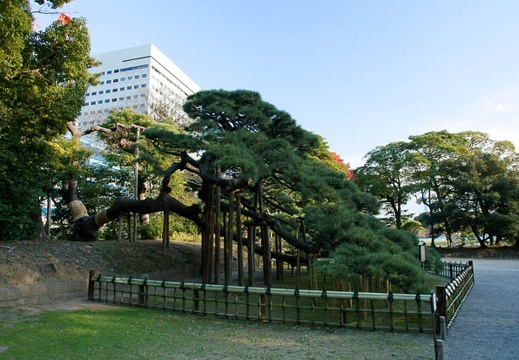 201101061458-DSC06933.jpg