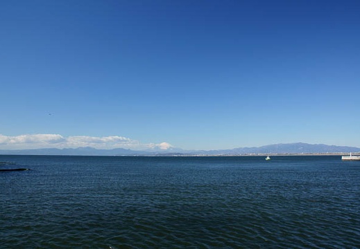 201101071107-DSC07001.jpg