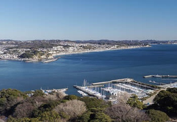 201101071251-DSC07194.jpg