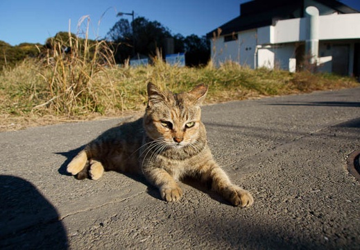 201101080909-DSC07497.jpg