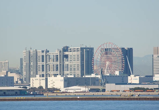 201101080952-DSC07591.jpg