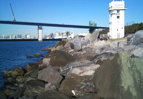 20110108105700-SO-01B.jpg