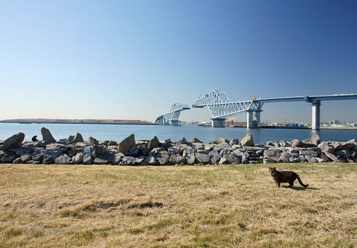 201101081138-DSC07800.jpg