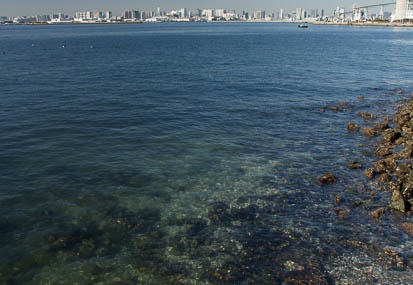 201101081208-DSC07852.jpg