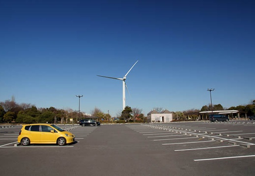 201101081226-DSC07889.jpg