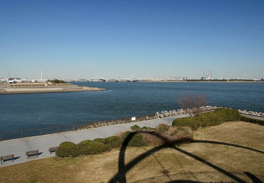 201101081302-DSC07950.jpg