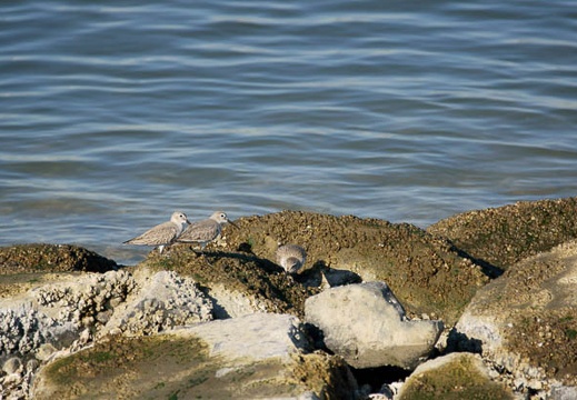 201101081322-DSC08029.jpg