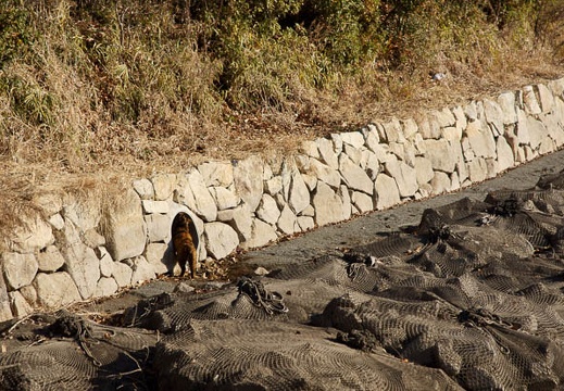 201101090945-DSC08249.jpg