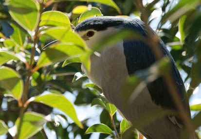 201101101220-DSC08712.jpg