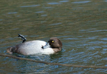 201101101227-DSC08733.jpg