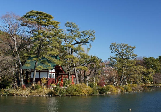 201101101241-DSC08765.jpg