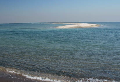 201101121218-DSC09485.jpg