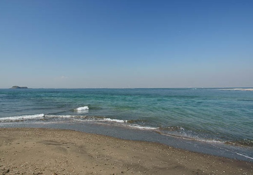201101121221-DSC09496.jpg