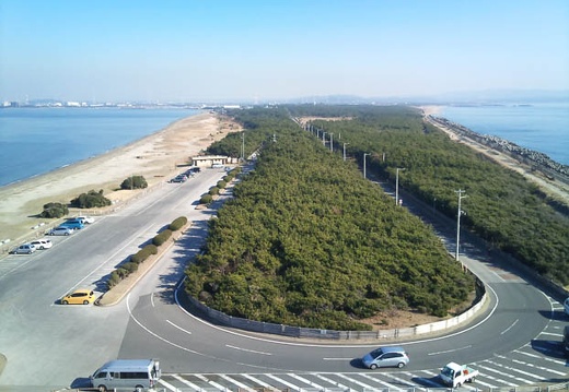 20110112130032-SO-01B.jpg