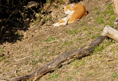 201101121423-DSC09873.jpg