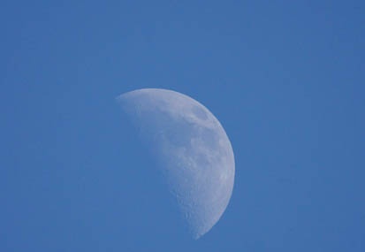 201101121425-DSC09879.jpg