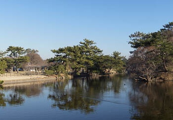 201101121433-DSC09896.jpg