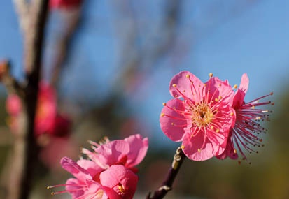 201101121445-DSC09923.jpg