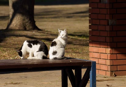201101131342-DSC00027.jpg