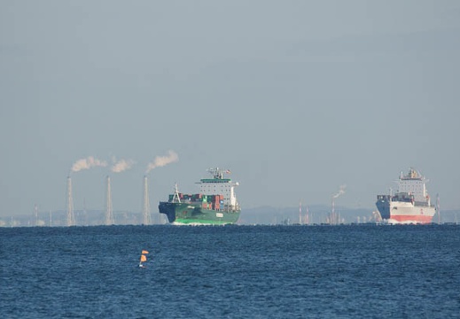 201101131454-DSC00208.jpg
