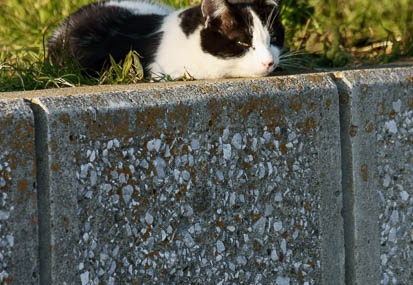 201101131507-DSC00241.jpg