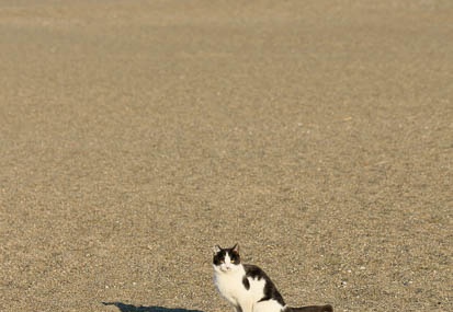201101131519-DSC00271.jpg