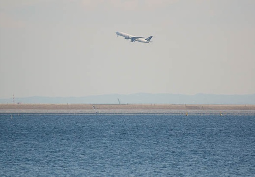 201101131522-DSC00282.jpg