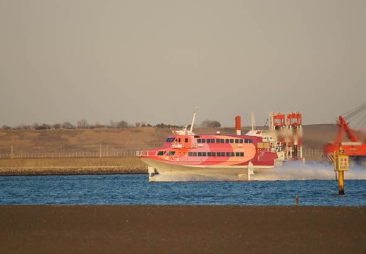 201101131610-DSC00447.jpg