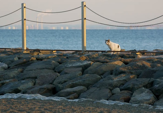 201101131612-DSC00456.jpg