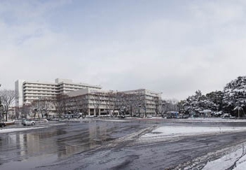 201101171058-DSC00990.jpg