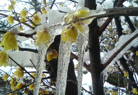 20110117113711-SO902i.jpg