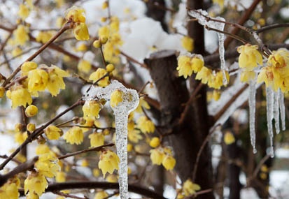 201101171140-DSC01081.jpg