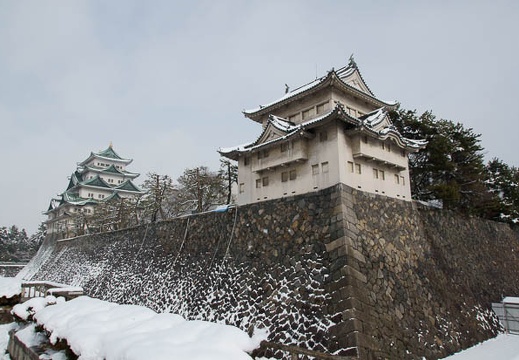 201101171206-DSC01132.jpg