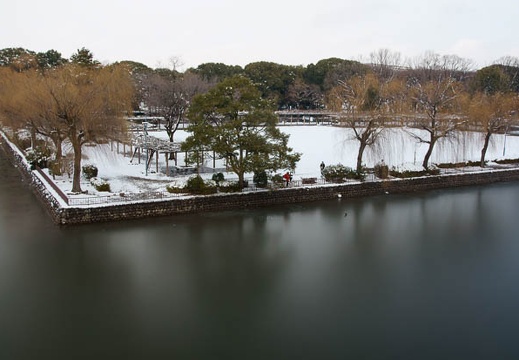 201101171240-DSC01214.jpg