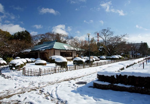 201101171351-DSC01304.jpg