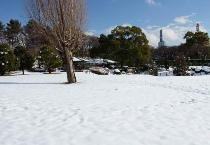 201101171359-DSC01320.jpg