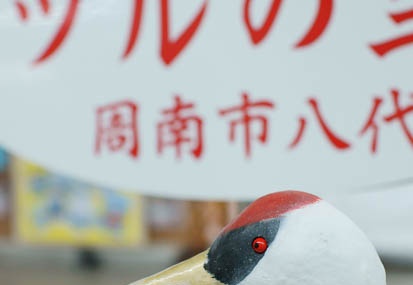 201101182109-DSC01636.jpg