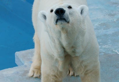 201101190947-DSC01897.jpg