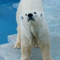 201101190947-DSC01897.jpg