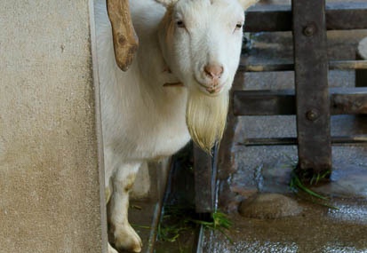 201101191053-DSC02057.jpg