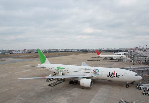 201101201011-DSC02484.jpg