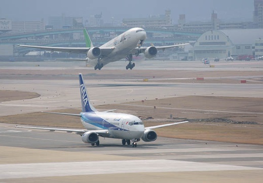 201101201035-DSC02561.jpg