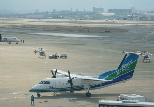 201101201150-DSC02605.jpg