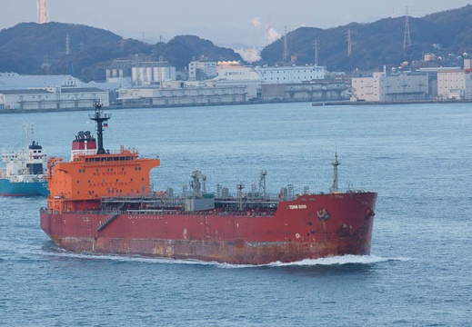 201101220739-DSC03114.jpg