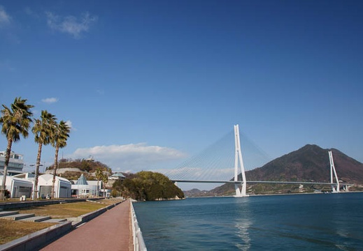 201101221420-DSC03268.jpg